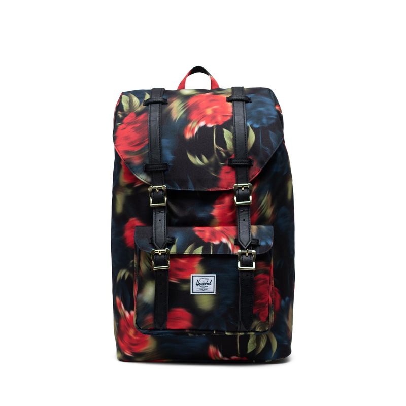 BLURRY ROSES
BLURRY ROSES