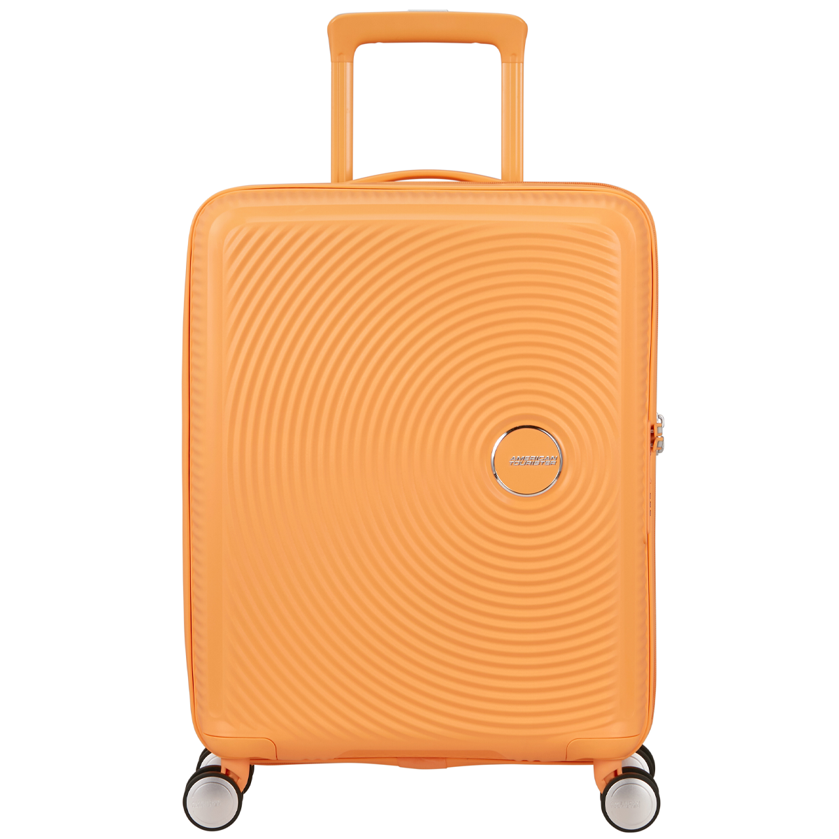 Papaya Pop A937
Papaya Pop A937